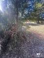 317 Magnolia Drive - Photo 11