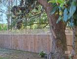 2535 Hinson Lane - Photo 51