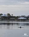 16310 Perdido Key Drive - Photo 37