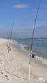 16310 Perdido Key Drive - Photo 46