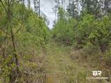 11631 Red Hill Rd Extension - Photo 13
