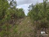 11631 Red Hill Rd Extension - Photo 14