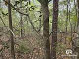 12287 Red Hill Rd Extension - Photo 1