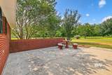 42150 Carlee Lane - Photo 56