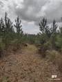 0 Phillipsville Road - Photo 4