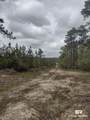 0 Phillipsville Road - Photo 5