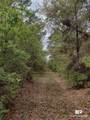 0 Phillipsville Road - Photo 7
