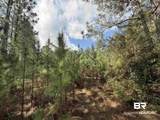 8200 BLK Grimes Road - Photo 17