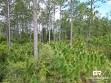 8200 BLK Grimes Road - Photo 7