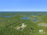 34130 Alligator Bayou Road - Photo 54