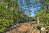 34130 Alligator Bayou Road - Photo 63