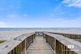 24522 Perdido Beach Boulevard - Photo 49