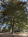 208 Oswalt Street - Photo 6