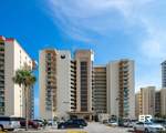 24132 Perdido Beach Boulevard - Photo 1