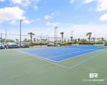 27008 Perdido Beach Boulevard - Photo 39