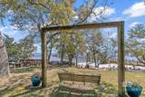 597 Buena Vista Drive - Photo 12