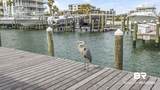 27501 Perdido Beach Boulevard - Photo 54