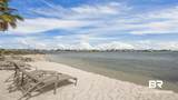 27501 Perdido Beach Boulevard - Photo 55