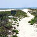 28835 Perdido Beach Boulevard - Photo 2
