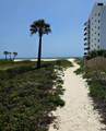 28835 Perdido Beach Boulevard - Photo 3
