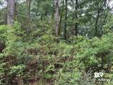 9050 Rice Creek Road - Photo 7