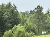 0 County Road 54 - Photo 1