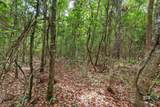 24928 County Road 71 - Photo 48