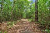 24928 County Road 71 - Photo 49