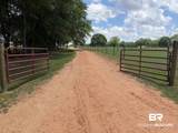 145 Tower Road - Photo 41