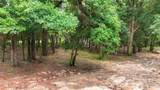 14149 Specs Lane - Photo 1