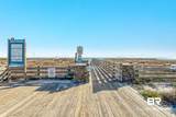 25805 Perdido Beach Boulevard - Photo 50