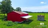 27528 Krehling Road - Photo 40