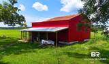27528 Krehling Road - Photo 41