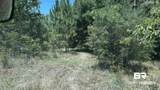 20033 Greek Cemetery Road - Photo 10