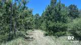 20033 Greek Cemetery Road - Photo 11