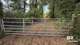 20033 Greek Cemetery Road - Photo 7
