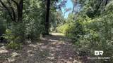 20033 Greek Cemetery Road - Photo 9
