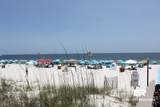 26802 Perdido Beach Boulevard - Photo 40