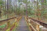 430 Fort Morgan Road - Photo 5