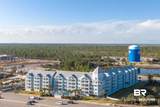 25805 Perdido Beach Boulevard - Photo 58