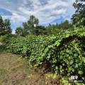 343 Old Sparta Road - Photo 36