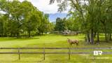 12200 Mary Ann Beach Road - Photo 14