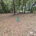 859 Cold Creek Drive - Photo 57
