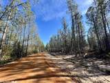 0 County Road 64 - Photo 5