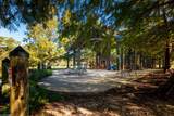 0 Cleyera Drive - Photo 27