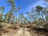 0 Whitehouse Fork Road - Photo 10