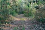 0 Dogwood Fork Road - Photo 12