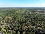 0 Dogwood Fork Road - Photo 5