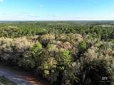 0 Dogwood Fork Road - Photo 6