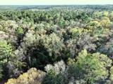 0 Dogwood Fork Road - Photo 7